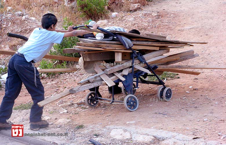 איסוף עצים לל"ג בעומר | צילום: ויקיפדיה